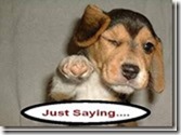 just-saying_thumb