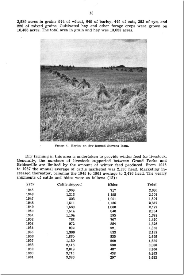 bc9_report(1)_Page_016