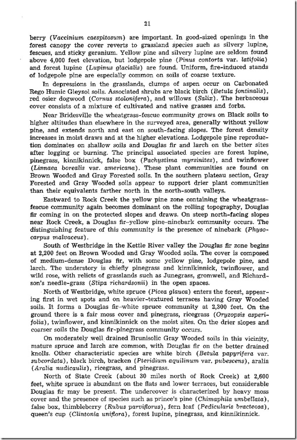 bc9_report(1)_Page_021