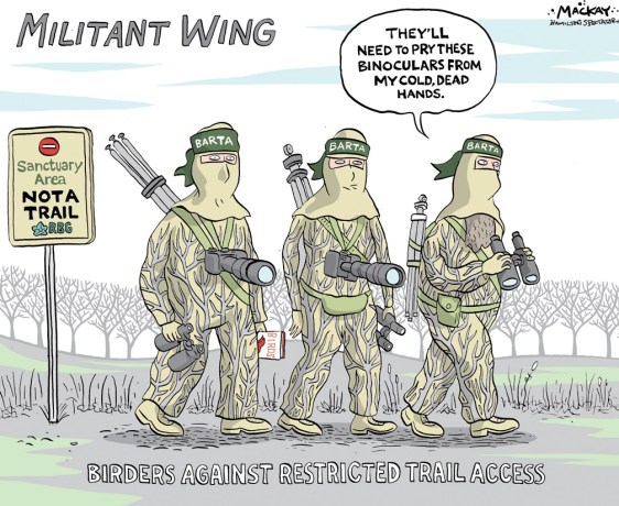 Saturday March 12, 2016 Bird watchers asked not to post sightings from Dundas' Olympic Woods Bird watchers have been asked not to post sightings from the Olympic Woods section of a Royal Botanical Garden special protection area. Bruce Mackenzie, director of the Hamilton Naturalists Club bird study group, posted the request on the HNCÕs Hamilton Birders email group, as well as an update stating Naturalists Club representatives will be meeting with RBG staff this week to discuss the use of RBG lands by the public Ð in particular the area behind Westoby Arena on Olympic Drive. ÒRBG has recently posted No Trespassing signs in the area behind Olympic Park. They have asked the members of the HNC to refrain from using the Hopkins Woods Special Protection Area,Ó Mackenzie, a former Hamilton Conservation Authority staffer, posted on the email group. ÒThe RBG has the right to direct how users may use or enter their landsÉthe (HNC) asks members to note the new signs and be respectful of the instructions.Ó The RBG recently began actively enforcing no trespassing rules in the area, after ongoing use of unofficial trails and popularity of the area on Internet bird watching sites. Tys Theysmeyer, director of natural lands at the RBG, said the meeting with HNC representatives was already planned Ð but the Olympic Woods issues raise new areas where the organizations can work together. Theysmeyer said among the topics to work on are finding a source of revenue to manage RBG areas, and an overall management plan for the area between Dundas and Cootes Paradise. ÒIt seems to have been forgotten that we are constantly searching for funds for the trail systems we currently provide Ð as are all the park system partners,Ó Theysmeyer said. (Source: Dundas Star News) http://www.thespec.com/news-story/6387312-bird-watchers-asked-not-to-post-sightings-from-dundas-olympic-woods/ Hamilton, Dundas, Royal Botanical Gardens, RBG, birders, conservation, nature, birding, trail, hiking