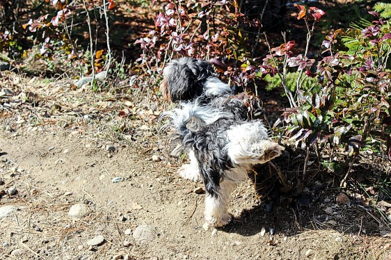 Taking Care Of Business