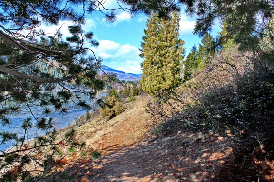 Walking Path View Trail B.C.