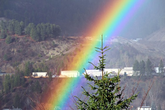 Trail BC rainbow_3