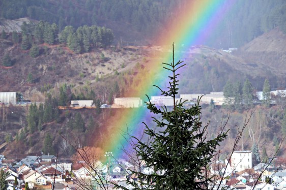 Trail BC rainbow_1