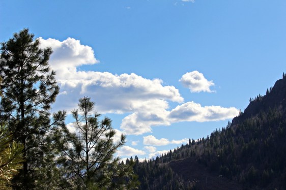 Feeling A Little Blue