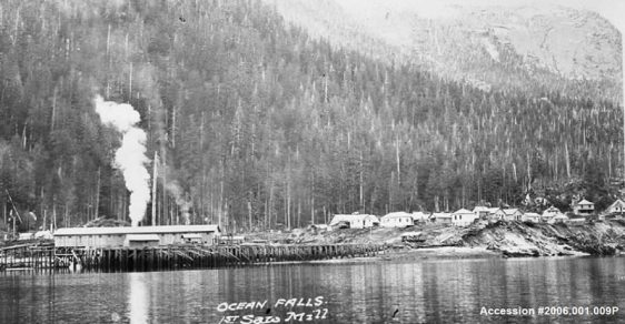 Ocean Falls’ first sawmill was built in 1909 by Ocean Falls Company.     The Bella Coola Pulp and Paper Company organized and staked leases on approximately 80,000 acres which, ultimately provided the foundation for pulp and paper projects and the sawmill in Ocean Falls.
