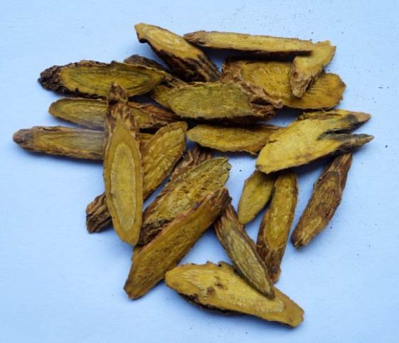 Chinese skullcap: root-specific flavones from this plant have a variety of reported additional beneficial effects including anti-oxidant and anti-viral properties. Image credit: John Innes Centre.