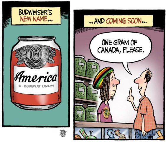 theo-moudakis-america-beer.jpg.size.custom.crop.760x650
